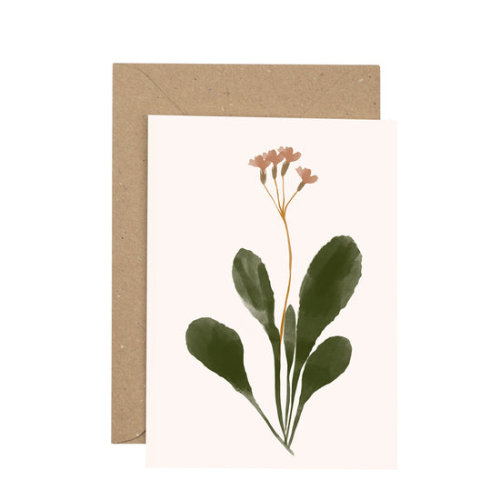 Flowering weed illustration on greetings card with kraft paper envelope behind.