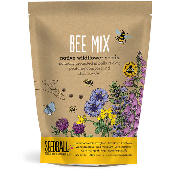 Brown paper bag with flowers printed on the front amongst others are focgloves and blue cornflowers.  White sans serif font at the top says Bee Mixand below in black, native wildflower seeds, naturally protected in balls of clay, peat-free compost and cihilli powder.