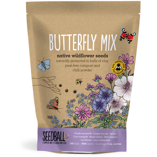 Brown paper bag with flower illustrations along the bottom towards the right. White sans serif font in large says, Butterfly Mix, while below in black and smaller it says, native wildflower seeds, naturally protected in balls of clay, peat-free compost and chilli powder.