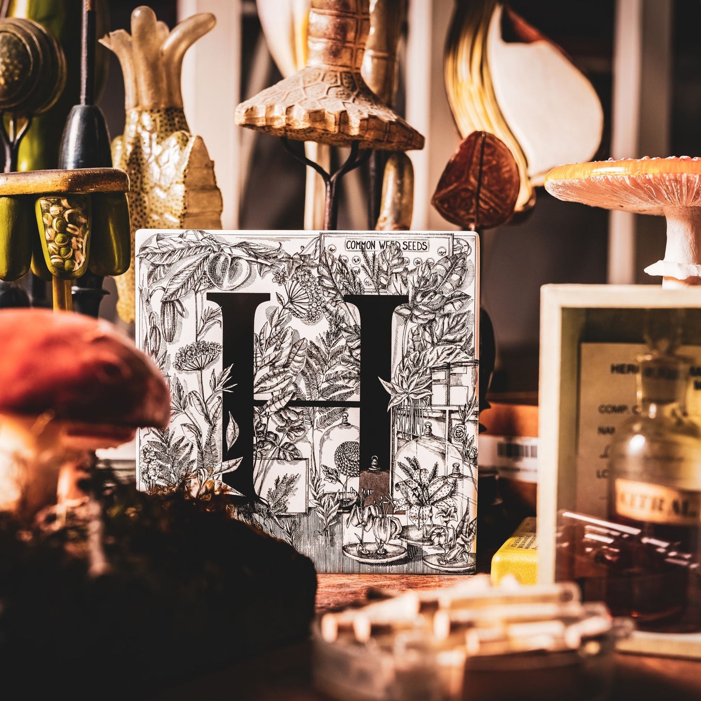 Lifestyle shot of the H tile from the Sculpts seen standing up and surrounded by herbarium items. Plant and flower models are in the background and to the left while a box with a bottle containing a seed is on the right.