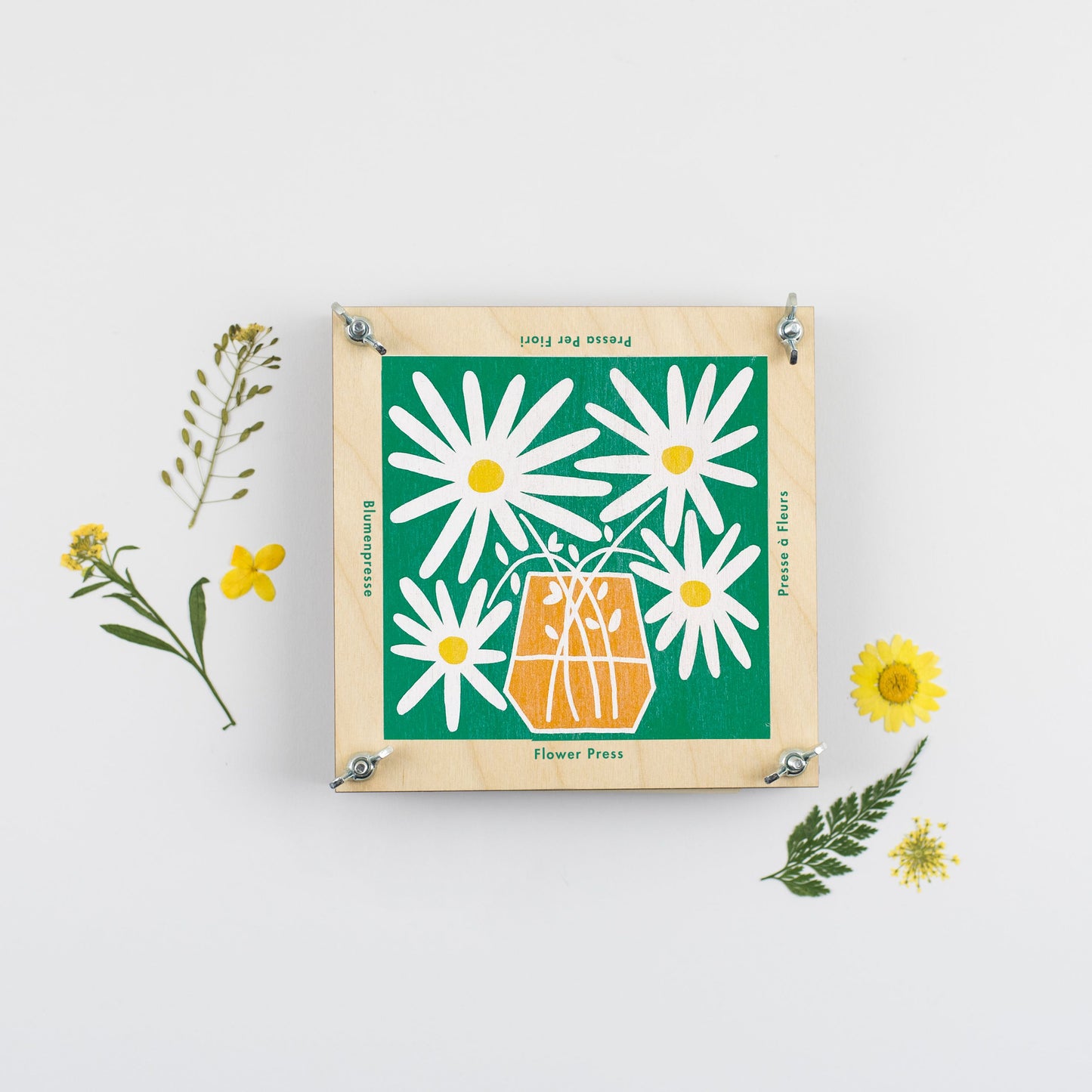 Load image into Gallery viewer, Wooden flower press with an illustration of a daisy at the centre, with pressed daisies decorated around the edge
