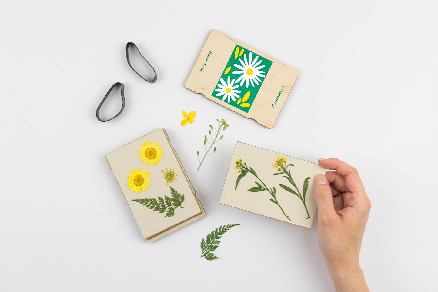 Load image into Gallery viewer, A de-assembled Pocket-sized flower press with daisy illustration photographed against white background
