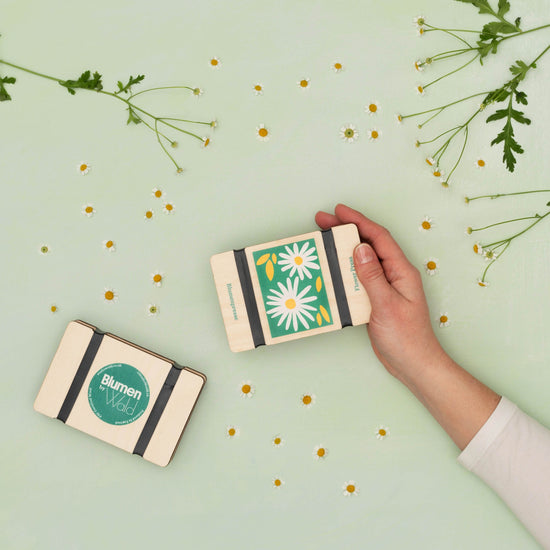 Load image into Gallery viewer, A person holding a pocket-sized flower press with daisy illustration. Green background.
